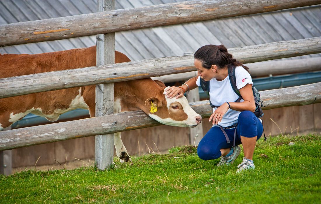 Slovenian hospitality and countryside tradition